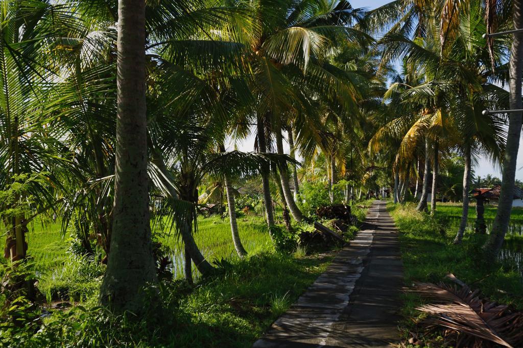 Satori Villas Bali Убуд Экстерьер фото