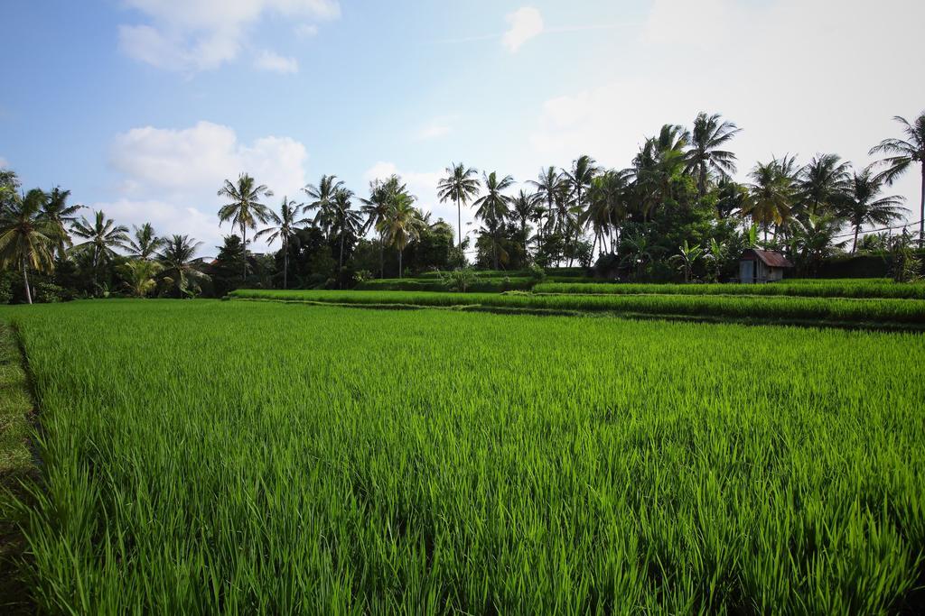 Satori Villas Bali Убуд Экстерьер фото