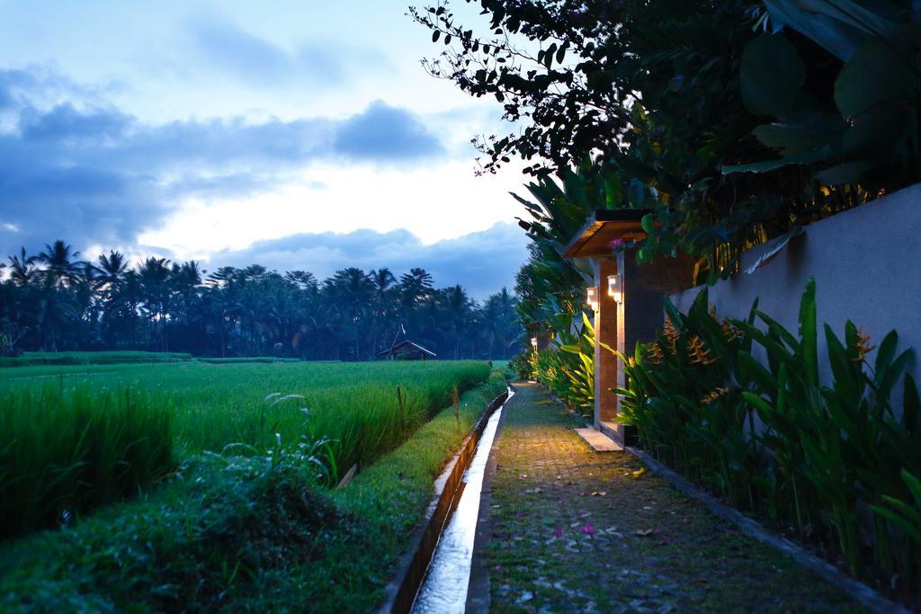 Satori Villas Bali Убуд Экстерьер фото